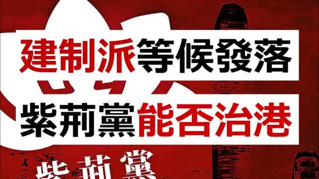 Bauhinia Party 「建制派」等候發落，「紫荊黨」能否治港？飛鳥盡，廢弓藏；依家嘅建制派能夠大灣區終老，已經係最好下場 …..