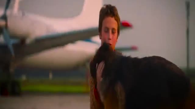 Dog ! s Loves Your Boss