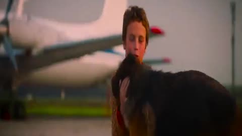 Dog ! s Loves Your Boss