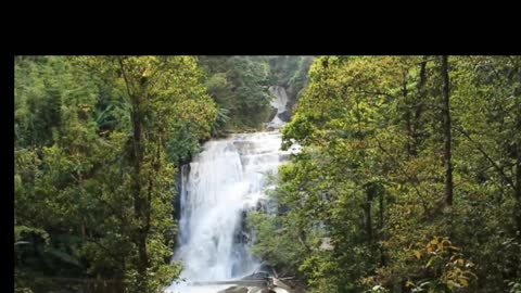 Waterfall Vibes