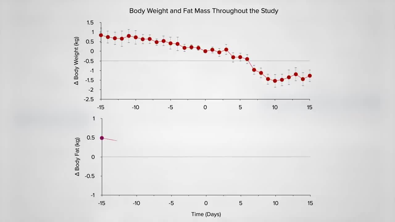 Keto Diet Theory - Test