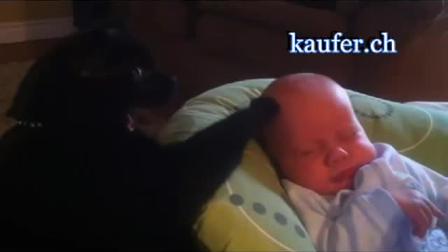 Her Baby Just Won’t Stop Crying. But When Her Cat Notices It? I Can’t Believe What He Does!