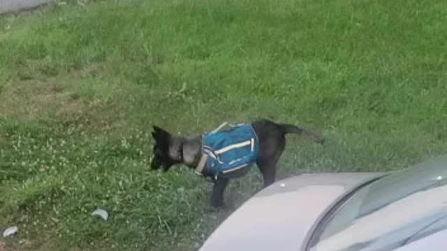 Athena loves her new backpack