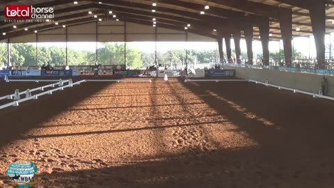 WDAA Western Dressage World Championship Show | Ring 3 | Day 1