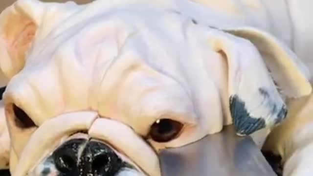 cut video _ cake videos _ Bulldog funny video _ #shorts #dogs #cake