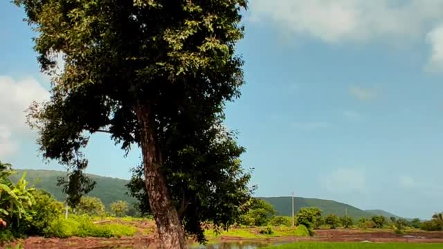 Farm Life | Peace of mind