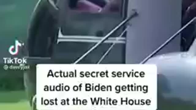 The eagle is on the lose