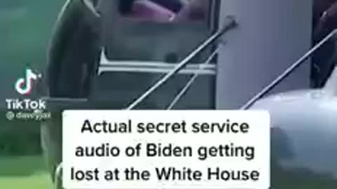 The eagle is on the lose
