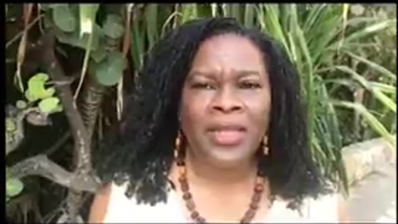 The Most Fearful Woman In The US The IRS Doesnt Want To See Her Face Or Hear Her Voice.mp4