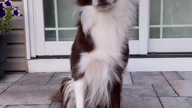 Wait for it ….. 🤣