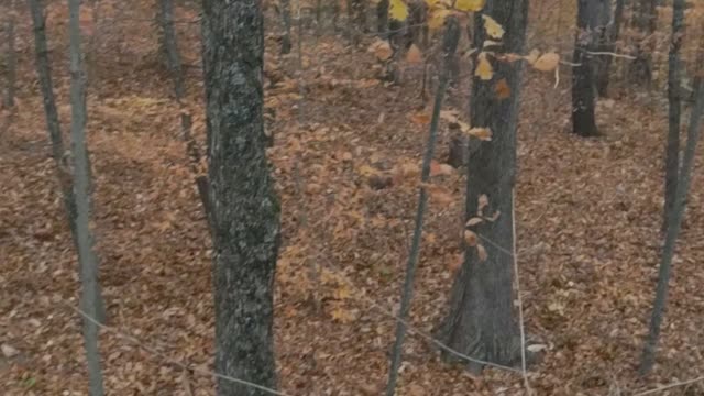 Fall Hunt in Ohio