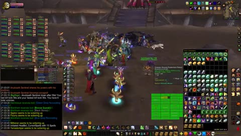 Turtle Wow - MM weekly AQ40 - 8 October - paladin POV