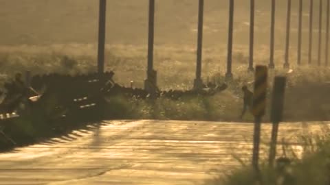 STUNNING New Video Shows Camouflaged Migrants Sneaking Into Our Country