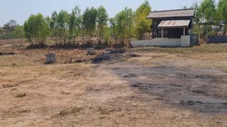 Udonthani farms for sale or rent owner financing