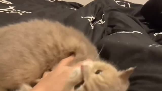 Occasional symbolic stretches