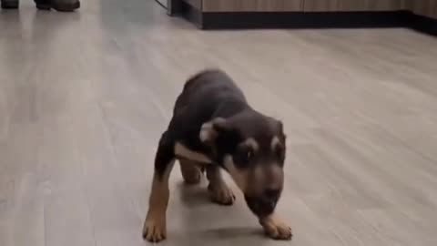 Wait for the end 😂