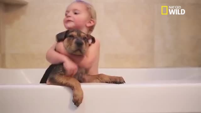 A moving relationship between a dog and a child - Funny friends