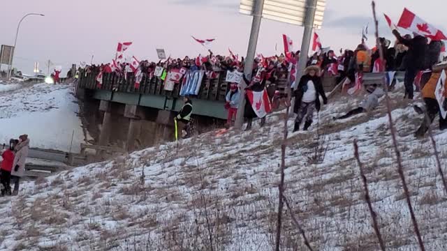 Freedom Convoy 2022. Nova Scotia, Canada!!