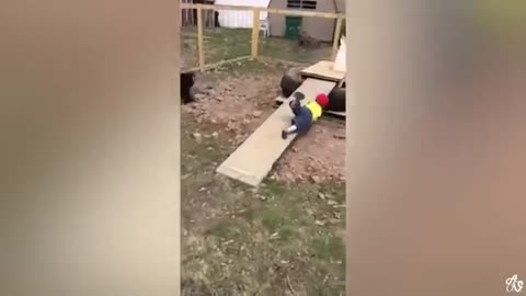 FUNNY ANIMAL you must watch am sure you will like