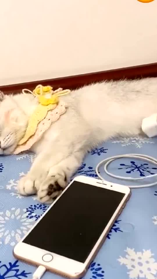 Electricaltion by friction