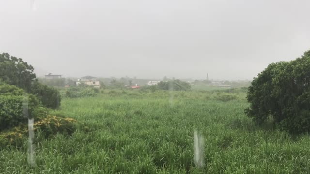 Relaxation Station - 30 minute Rain Storm