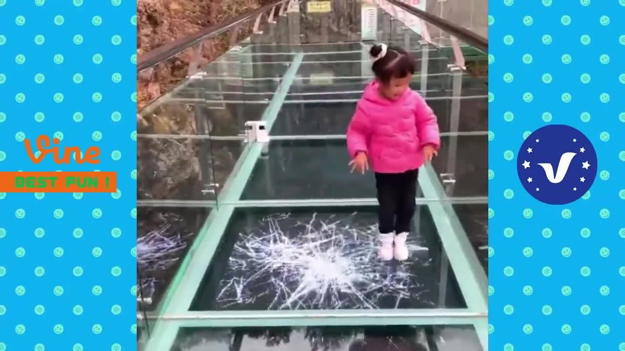 Viral videos