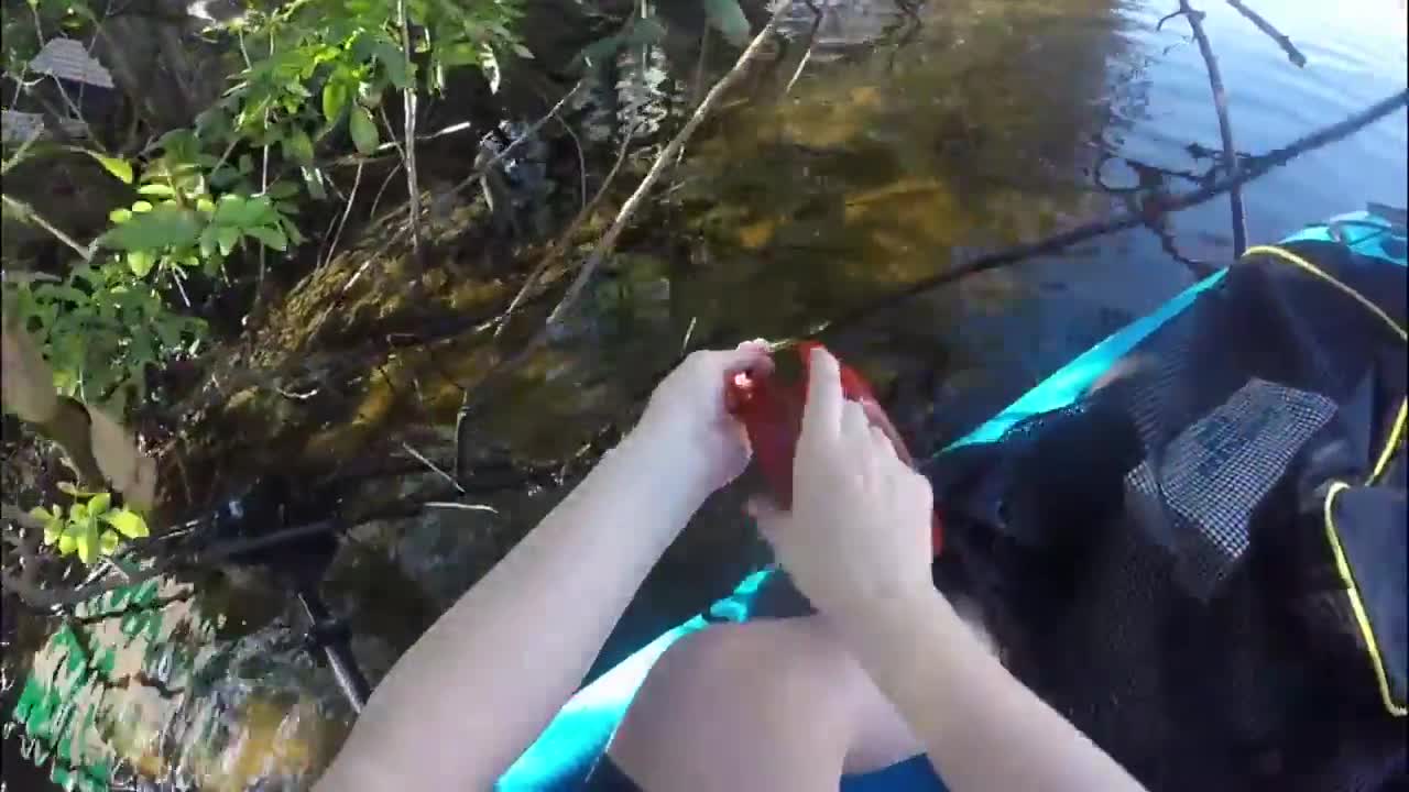 Removing a Kite Leader From the New River Bank in Fort Lauderdale Florida