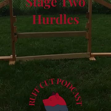 Hurdles Sit to Jump A