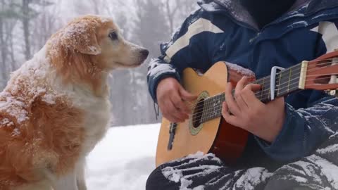 Paradise - Coldplay (Fingerstyle Guitar)