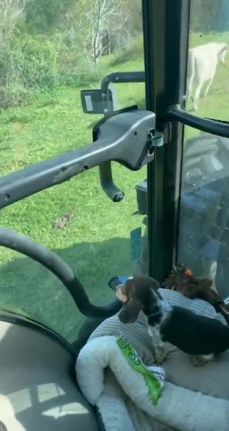 Little guard.. ❤❤❤