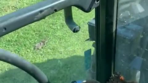 Little guard.. ❤❤❤