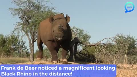 Most Intense Wild Animal Encounters