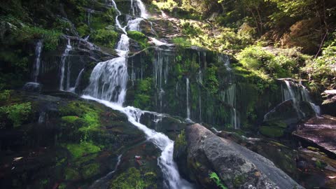 Relaxing Music with Beautiful Nature