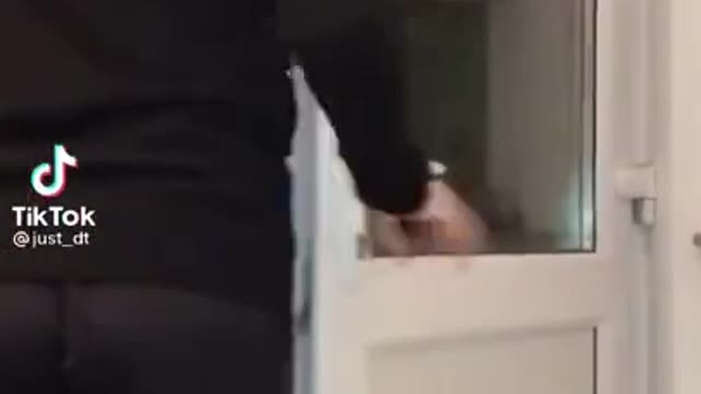 Just A Normal Cute Dog Video