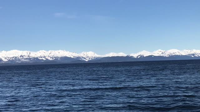 Cruising Favorite Channel outside Juneau, Alaska, Allen Marine Tours 12May2022