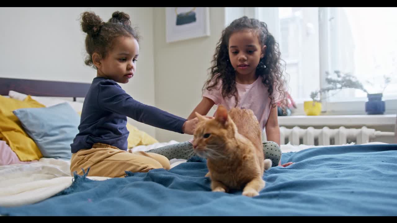 Lovely kitty with wonderful kids