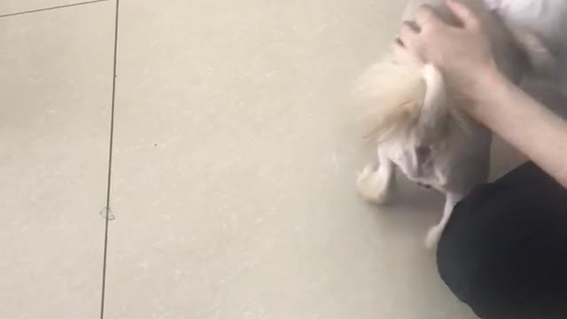 funny clips of 2 uncle for