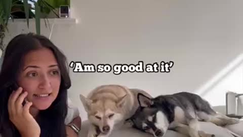 Mini Husky Reacts to Mom Saying His FAV Words