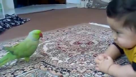 The parrot is talking to him