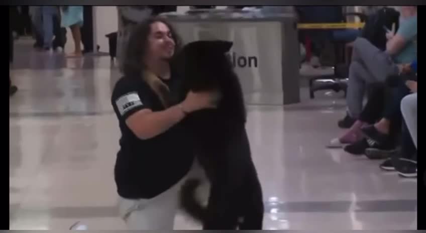 dog reunites with his owner after years of service