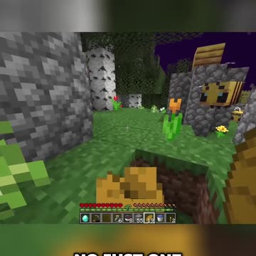 Insane Honey Farm Transformation: A Beekeeper's Dream