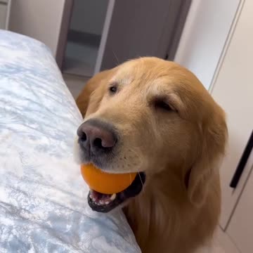 Caring for your neighbor. Devotion, love