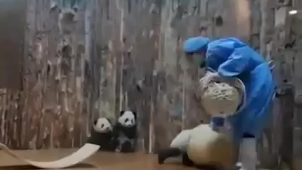 Come here O my Valentine 😂😂🤣🤣🤣