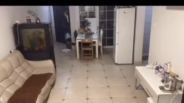 Amaizing cam see in my house