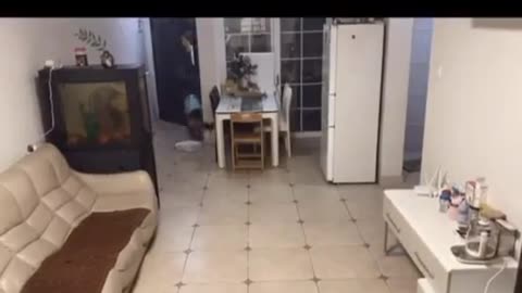 Amaizing cam see in my house