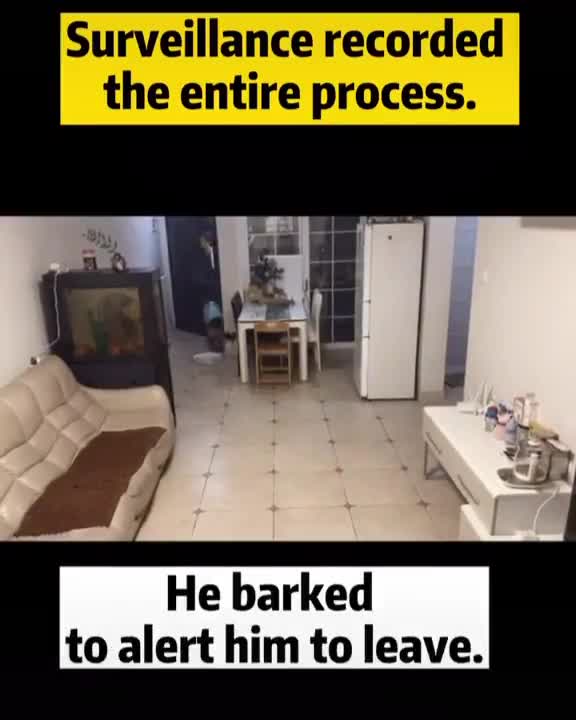 Amaizing cam see in my house