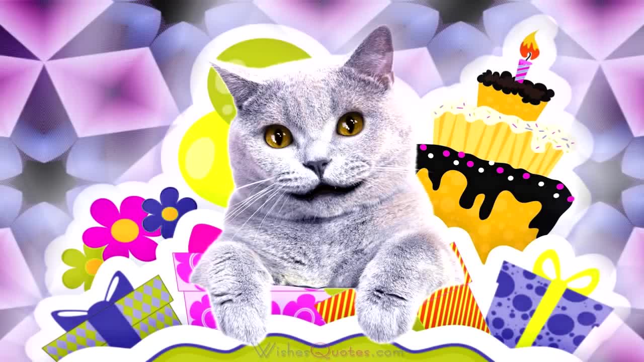 Cat Singing Happy Birthday