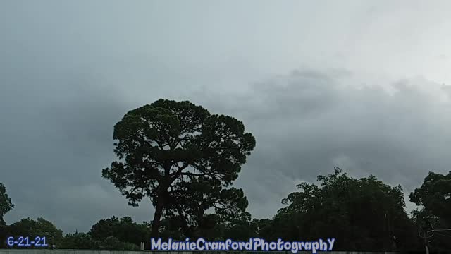 Highlights of a Lightning Storm