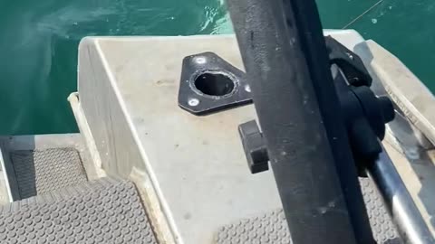 Orca Approaches Fishing Boat