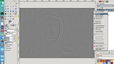 Gimp Tutorial 8 - Portrait editing - Skin